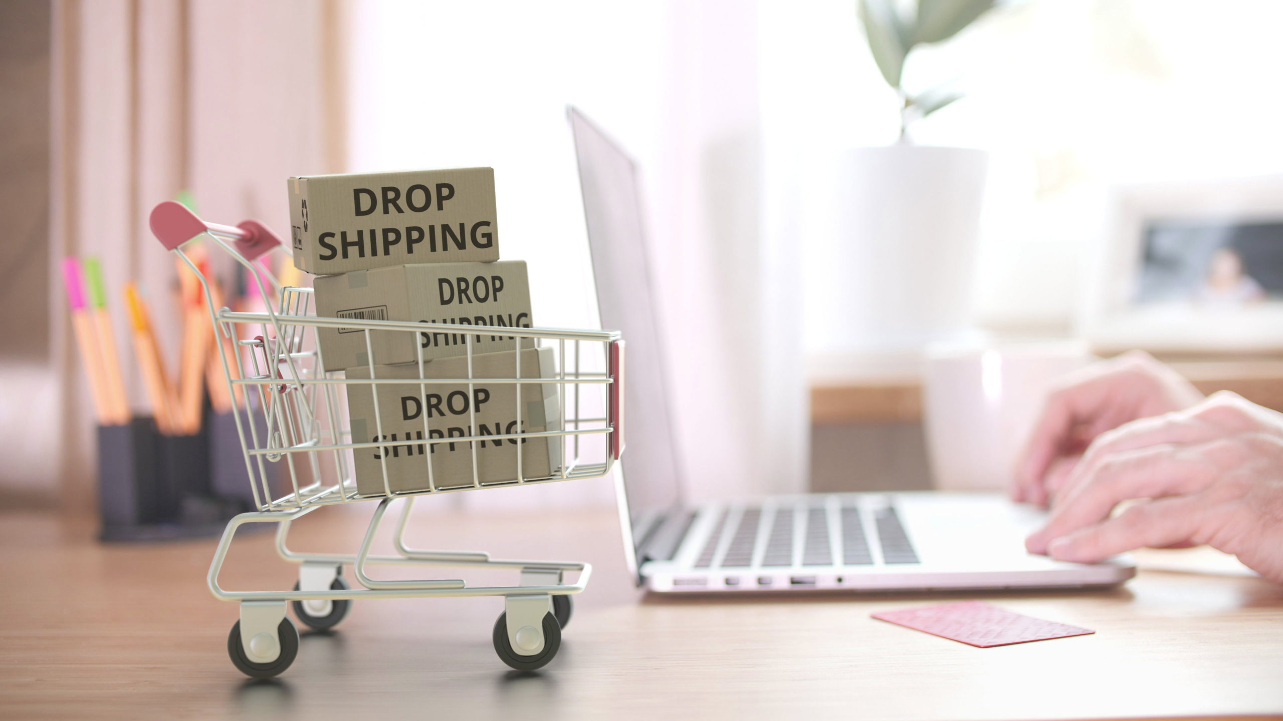 Read more about the article Is It Too Late for Dropshipping in 2021?